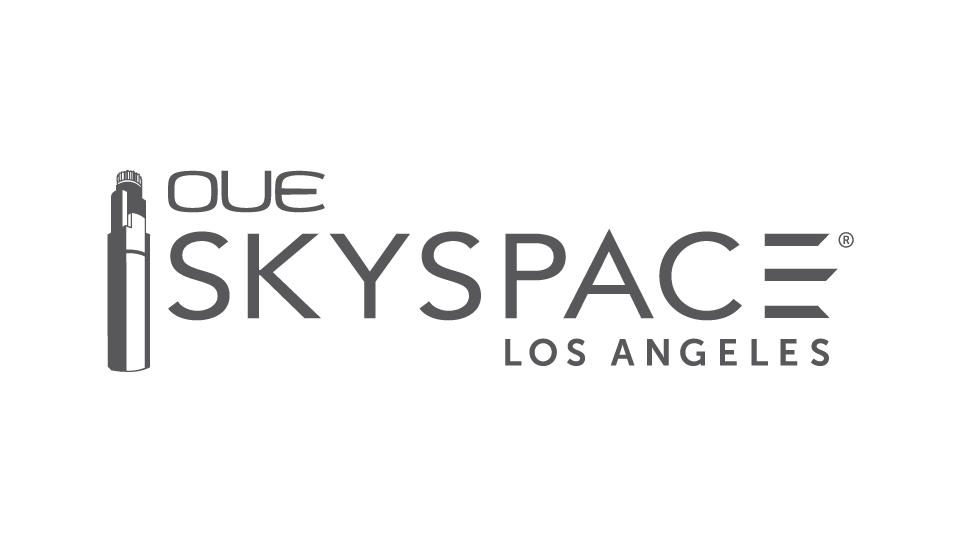Manven_Skyspace_Logo